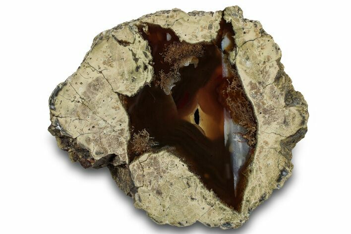 Colorful Polished Thunderegg Half #302932